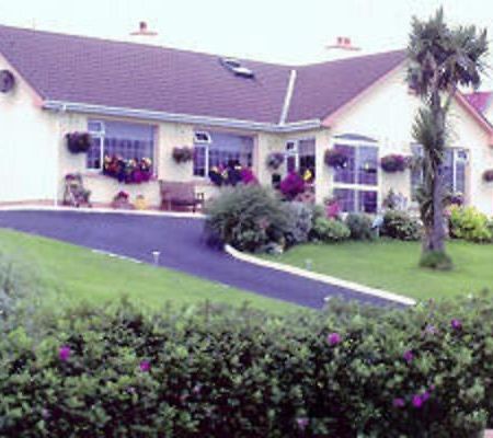 The Yellow Rose B&B Belderg Exterior photo